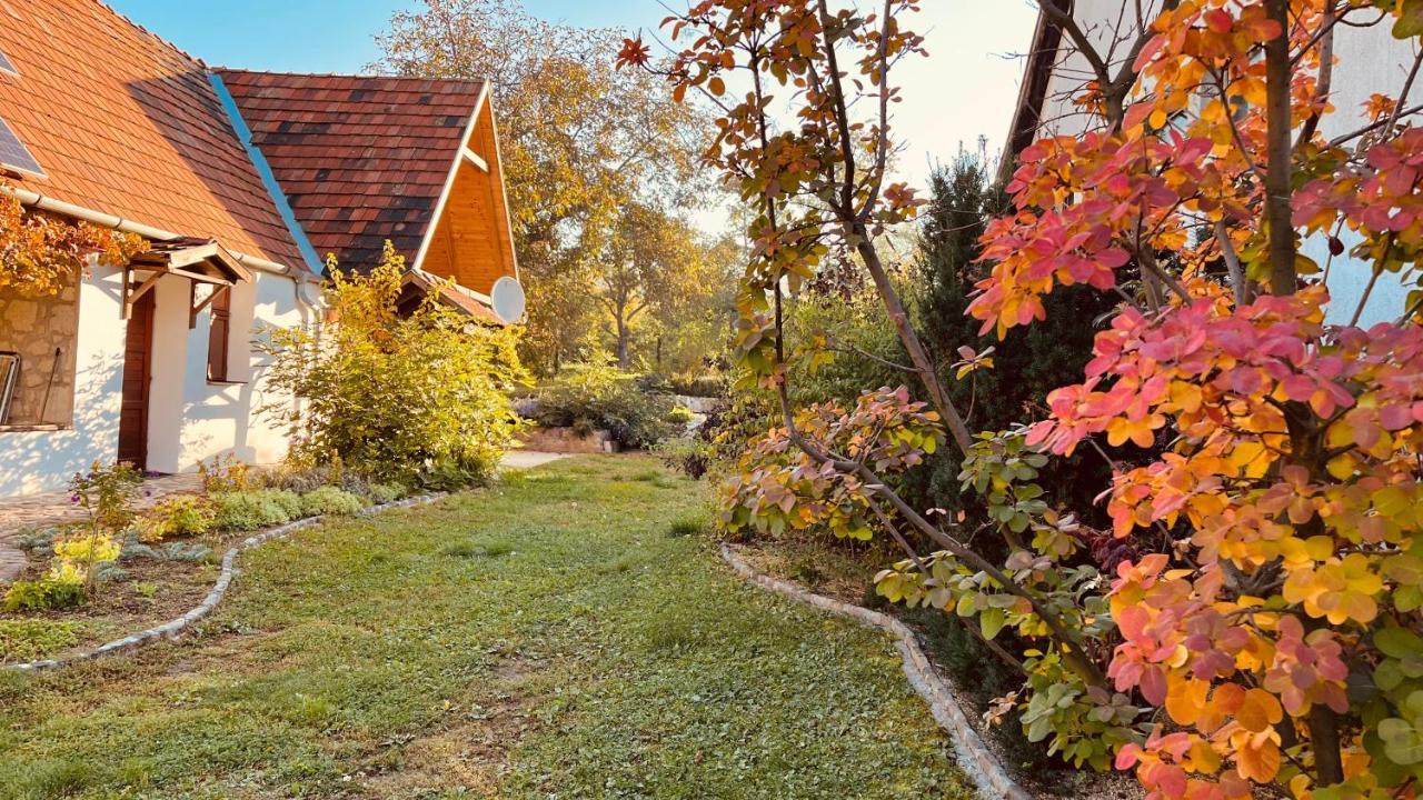 Vitamin B63 Vendeghaz Boldogkovaralja Exteriér fotografie
