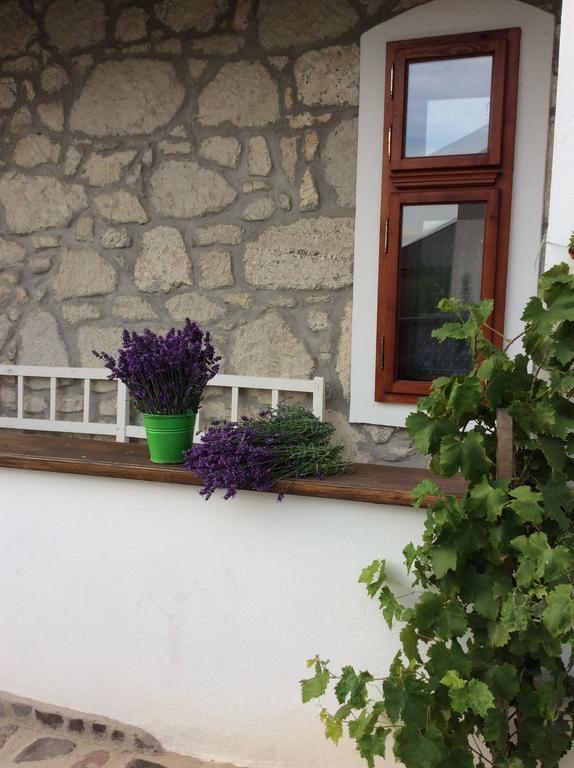Vitamin B63 Vendeghaz Boldogkovaralja Exteriér fotografie