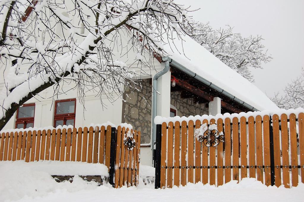 Vitamin B63 Vendeghaz Boldogkovaralja Exteriér fotografie