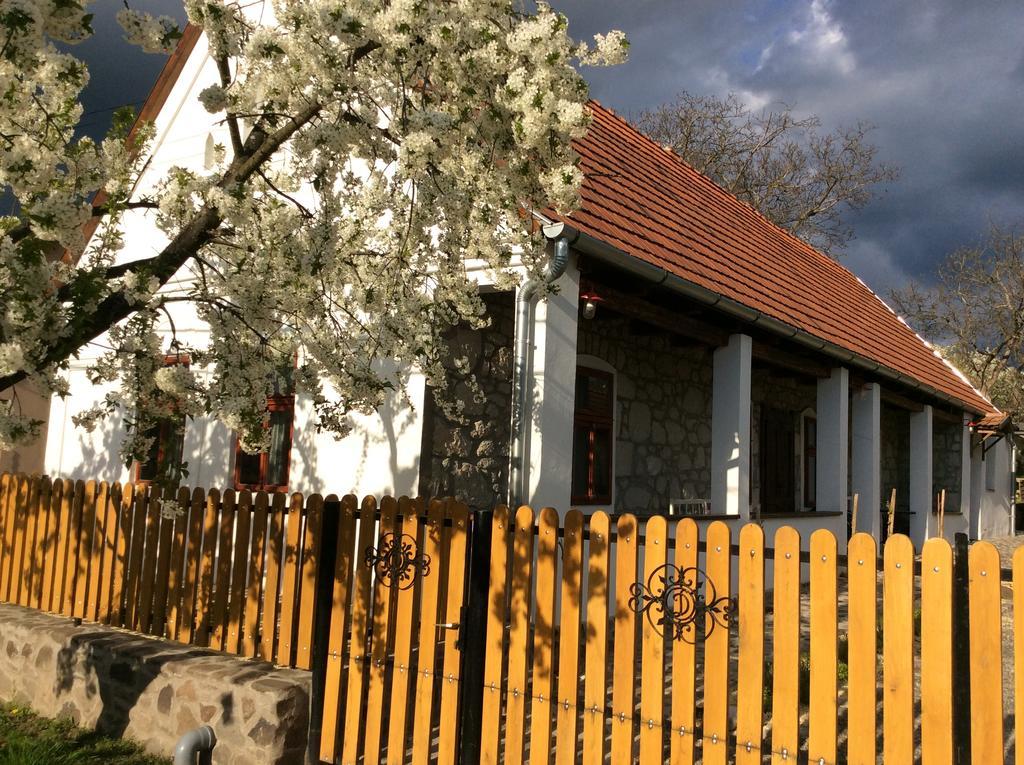 Vitamin B63 Vendeghaz Boldogkovaralja Exteriér fotografie